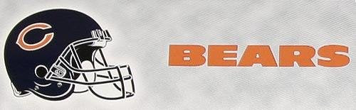 Chicago Bears Car Trim Magnet