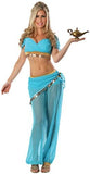 Delicious of NY Women's Arabian Nights Sexy Costume, Blue, Extra-Small