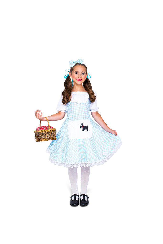 Storybook Kansas Girl Dorothy Girl's Costume Small 3-4