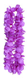 1 Dozen Lush 48" Hawaiian Leis