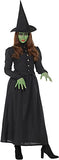 Wicked Witch Women's Costume Large