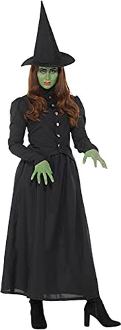 Wicked Witch Women's Costume Large