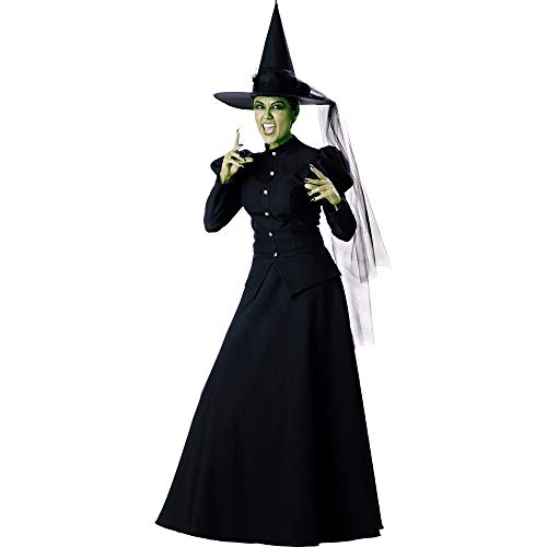 Witch Costume - Medium - Dress Size 6-10