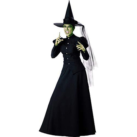 Witch Costume - Medium - Dress Size 6-10