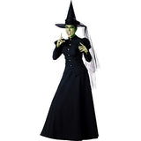 Witch Costume - Medium - Dress Size 6-10