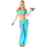 Delicious of NY Women's Arabian Nights Sexy Costume, Blue, Extra-Small