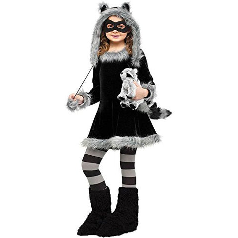 Fun World Sweet Raccoon Costume, Large 12-14