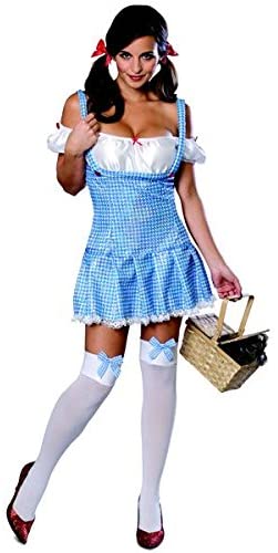 Wizard Of Oz Secret Wishes Dorothy Costume