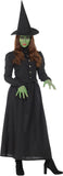 Wicked Witch Women's Costume Large