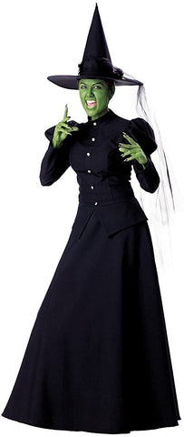Witch Costume - Small - Dress Size 2-6