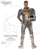 Men's Knight in Shining Armor Costume