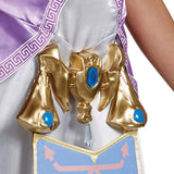 Disguise Adult Zelda Deluxe Costume