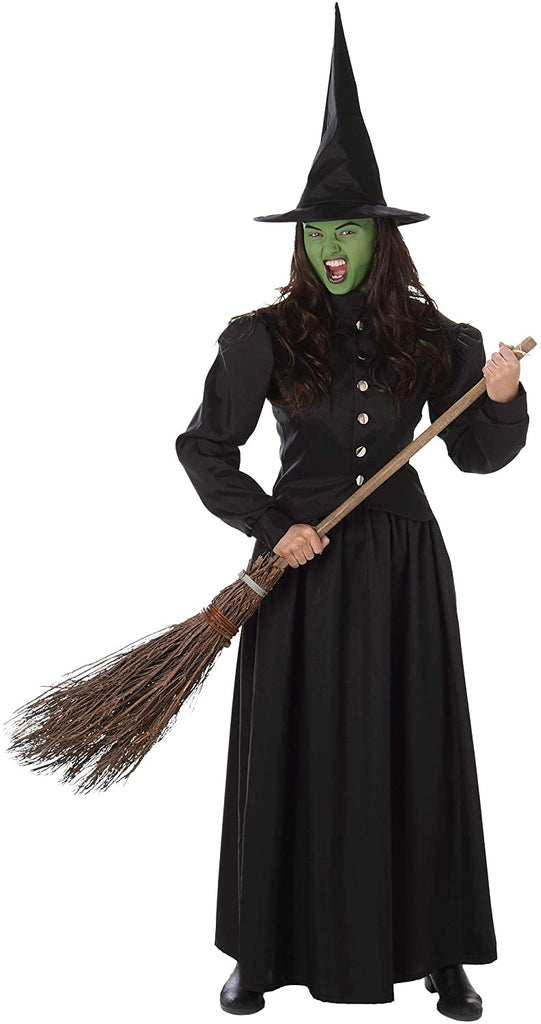Wicked Witch Women's Costume Large