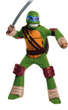 Teenage Mutant Ninja Turtle Costume - Small