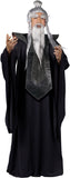 Fun World Sensei Master Costume