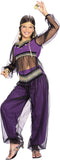 Rubie's Harem Princess Child's Costume