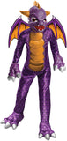 Rubie's Skylanders Academy Child's Spyro Costume, Large