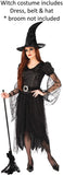 Rubie's womens Witch of Darkness Adult Sized Costumes, As Shown, Large US