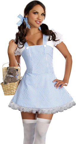 Dreamgirl Women's Blue Gingham Dress