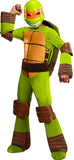 Teenage Mutant Ninja Turtles Deluxe Michelangelo Costume