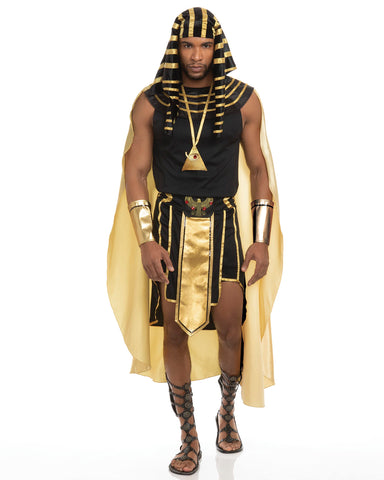 Dreamgirl Men's Adult Fashion King of Egypt King Tut Costume, Gold